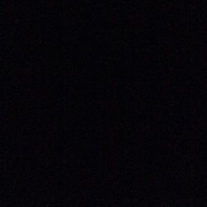 Meet your Posher, Rose